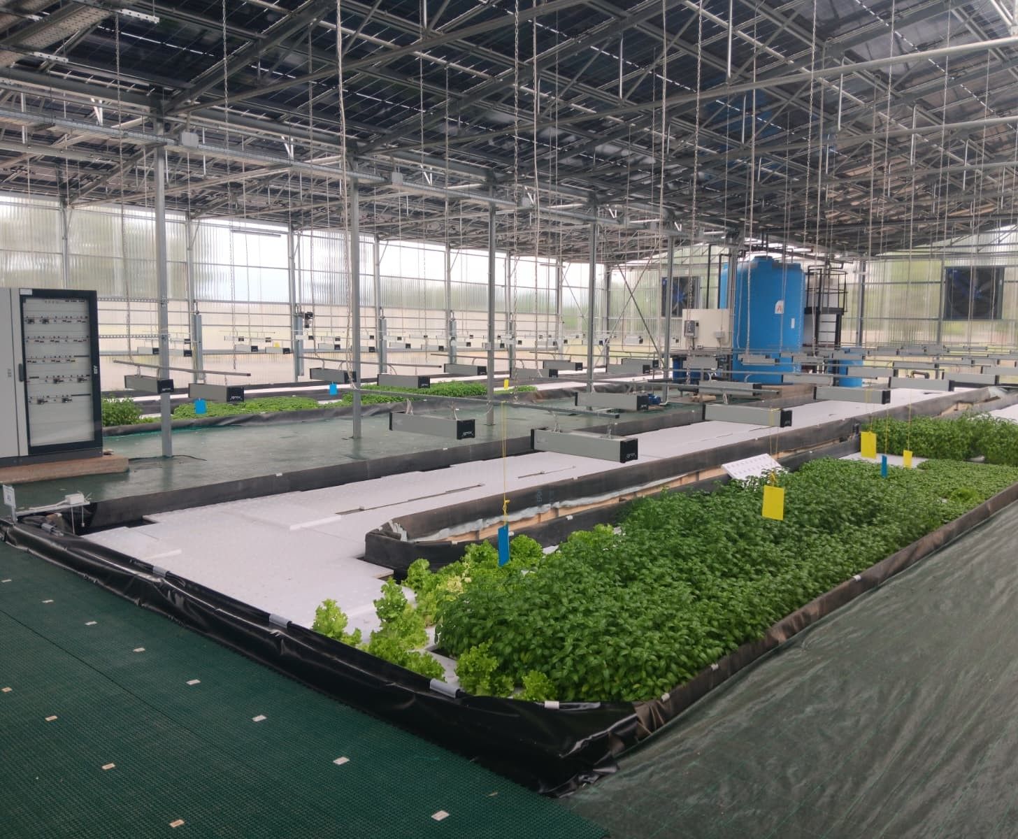 Sistema acquaponico dell'Agri Research and Teaching Center
